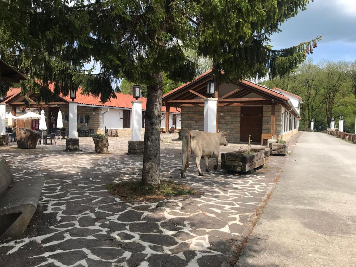 Kampaoh Sierra De Urbasa 호텔 Bacáicoa 외부 사진
